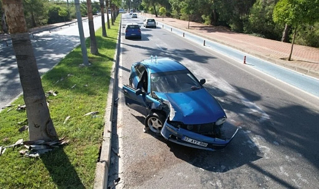 Palmiyeye çarpan otomobildeki 2 kişi yaralandı