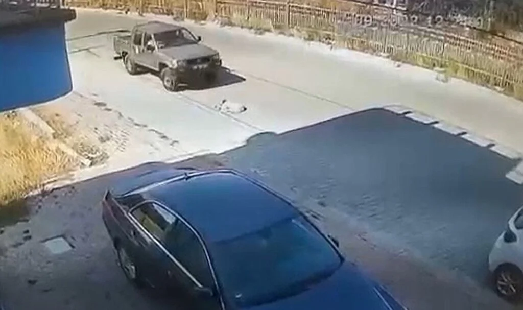 Resmi plakalı araçla sokak köpeğini ezen iki memur görevden uzaklaştırıldı