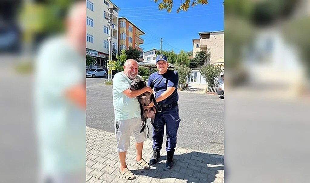 Sahibiyle denizde yüzerken kaybolan köpeği sahil güvenlik kurtardı