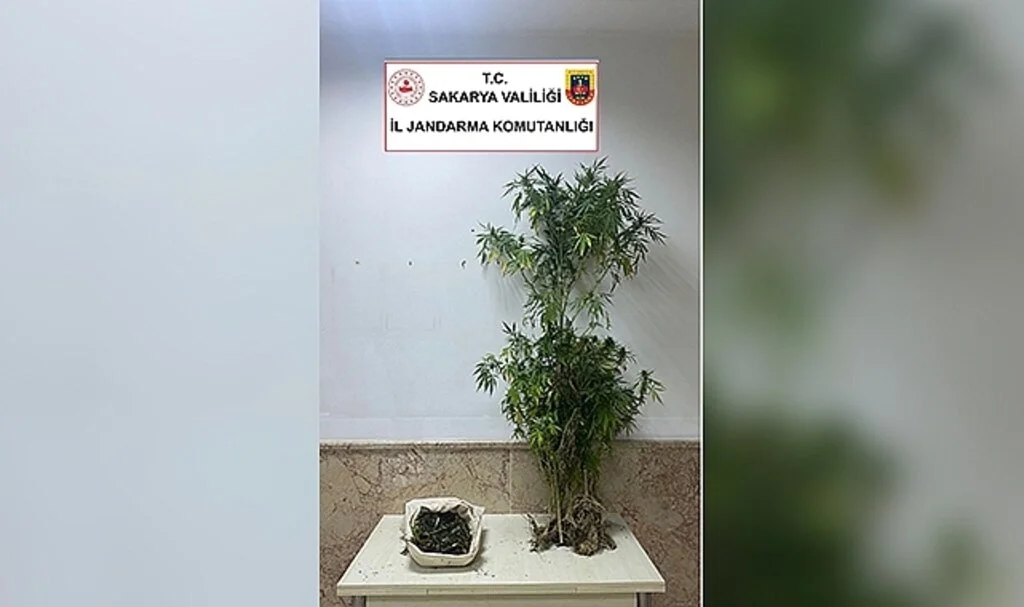 Sakarya’da 3 kilogram esrar ele geçirildi: 1 gözaltı