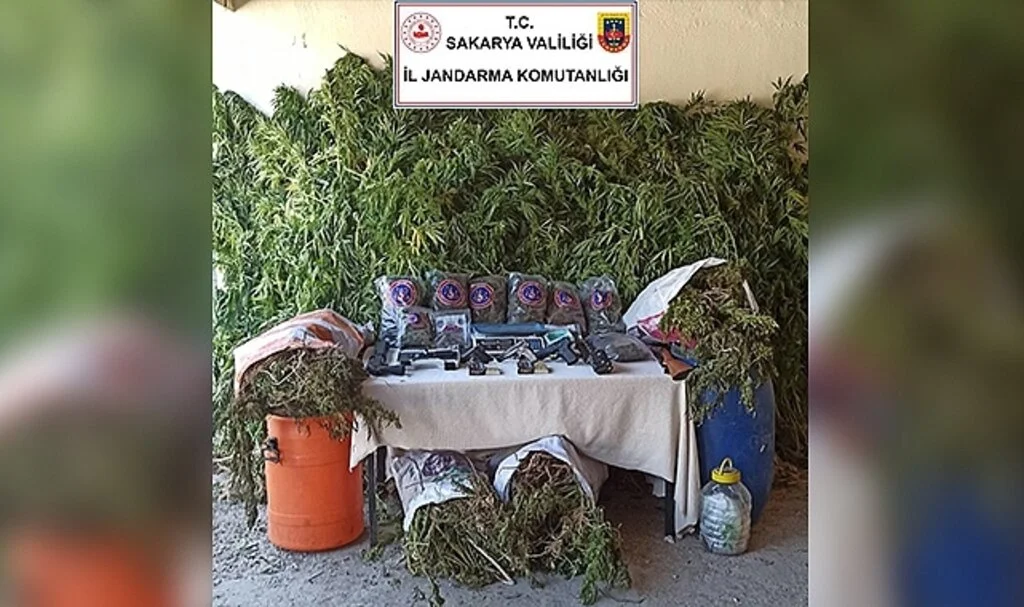 Sakarya'da 70 kilo esrar ele geçirildi: 3 gözaltı