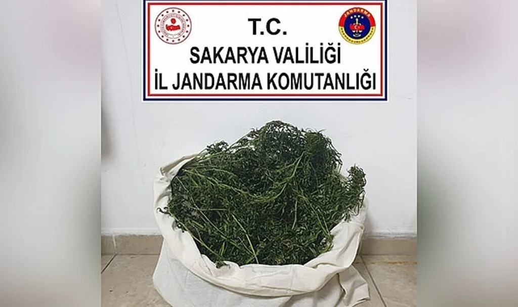 Sakarya’da uyuşturucu operasyonu: 1 gözaltı