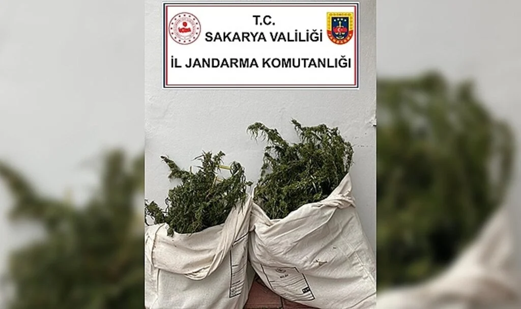 Sakarya’da uyuşturucu operasyonu: 1 gözaltı