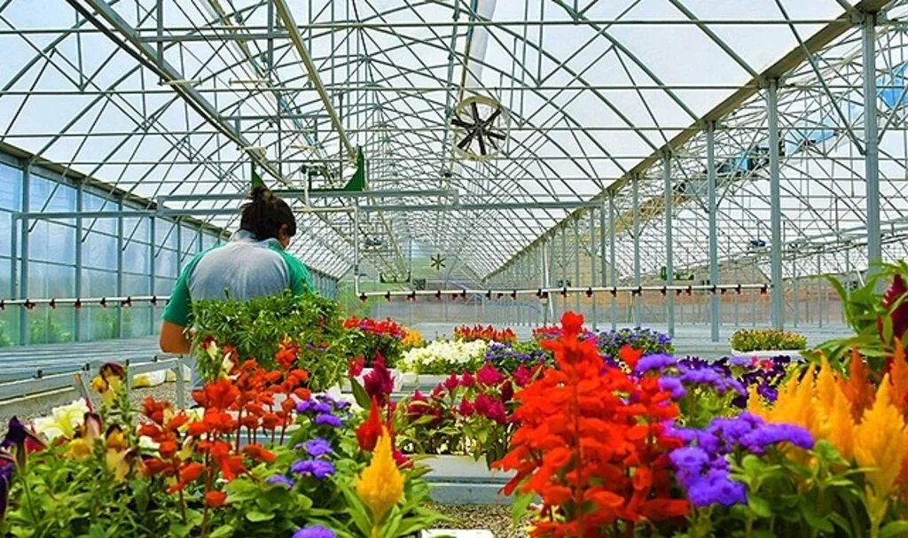 Samsun Büyükşehir Belediyesi'nin o projesine ödül