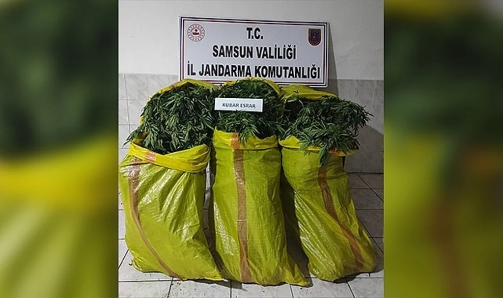 Samsun'da Esrar baskınında  bir tutuklama daha