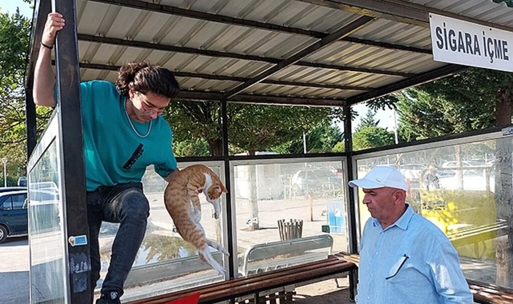 Samsun'da Hastane bahçesindeki çatıda mahsur kalan kediyi personel kurtardı