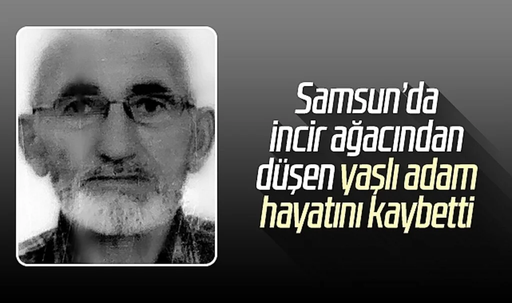 Samsun'da incir ağacından düşen yaşlı adam hayatını kaybetti