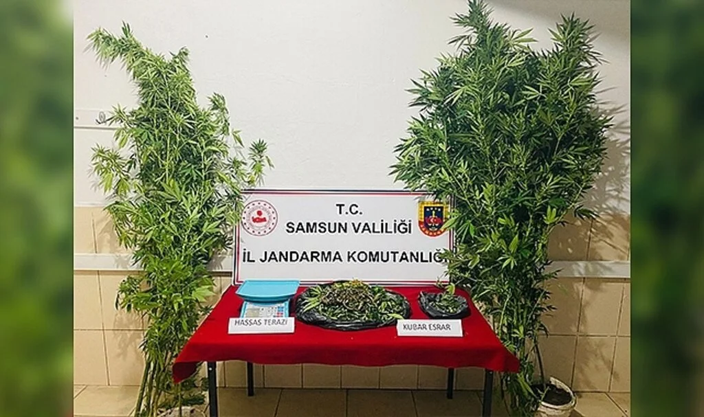 Samsun'da Jandarmadan uyuşturucu operasyonu: 1 gözaltı