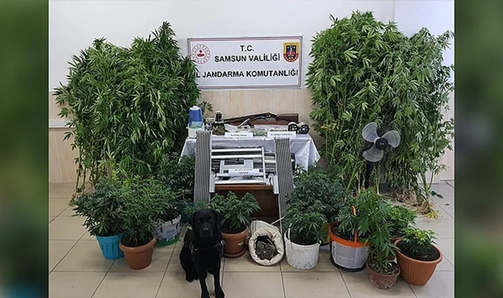 Samsun'da uyuşturucu operasyonu: Baba-oğul tutuklandı