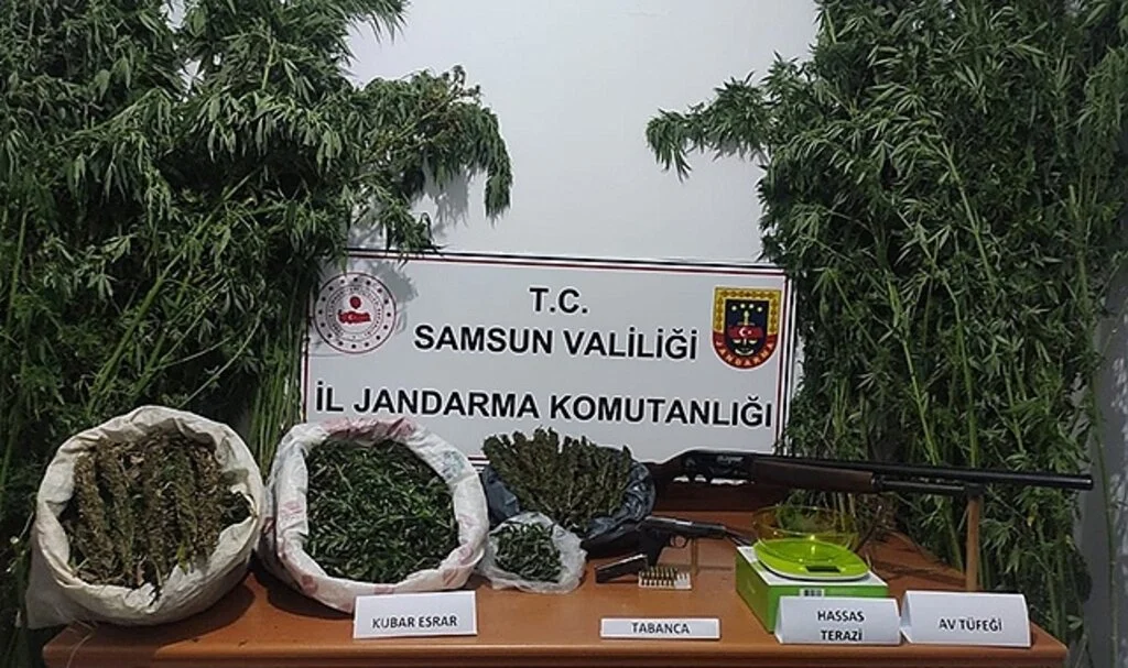 Samsun'da zehir yuvalarına baskın