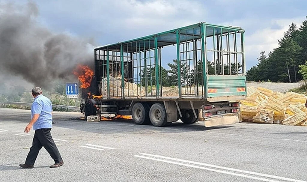 Seyir halindeki kamyon alev alev yandı