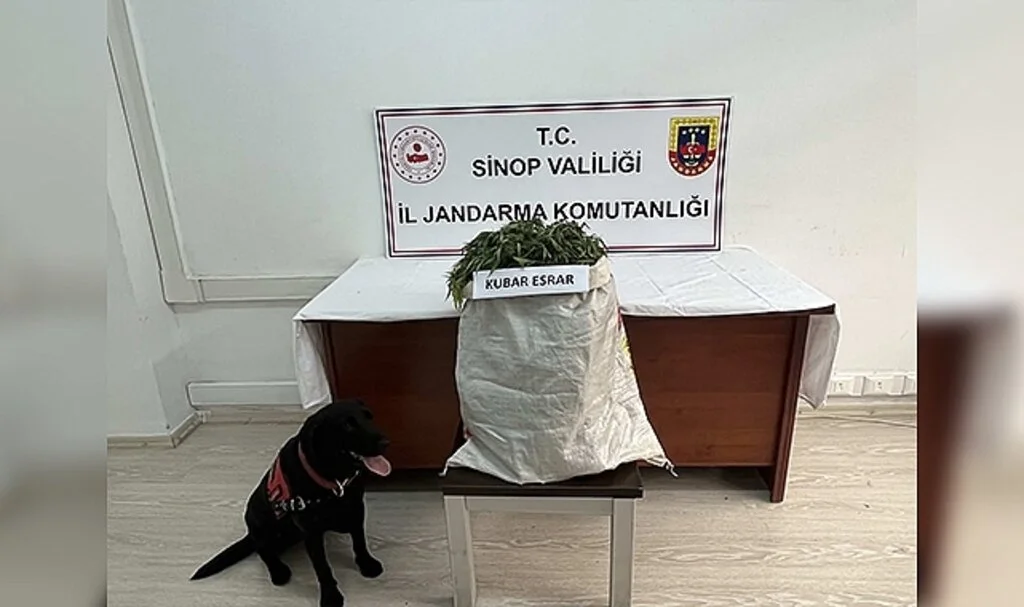 Sinop’ta 2,68 kilo esrar ele geçti: 1 gözaltı