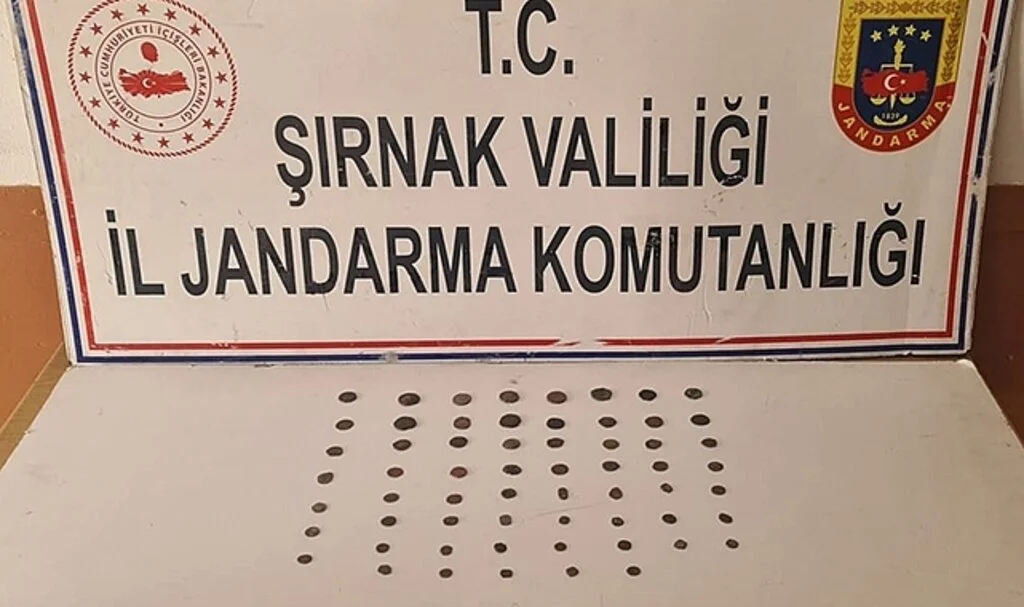 Şırnak’ta 65 parça tarihi obje ele geçirildi