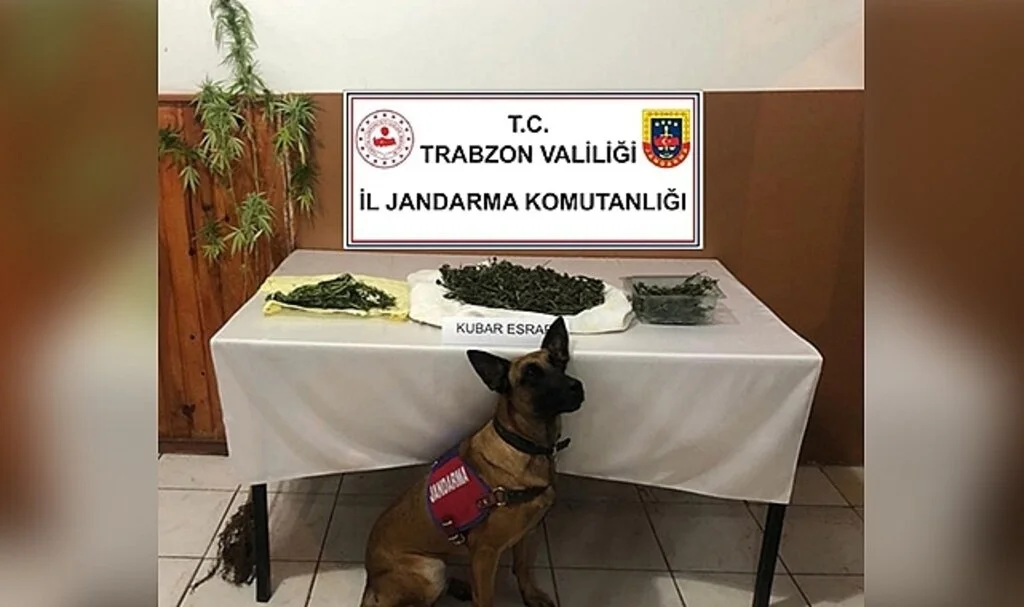 Sobaya saklanan uyuşturucuyu ‘Yatkın’ buldu