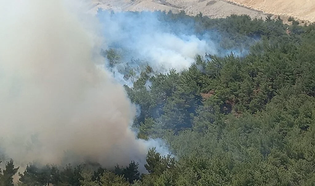 Soma’da orman yangını