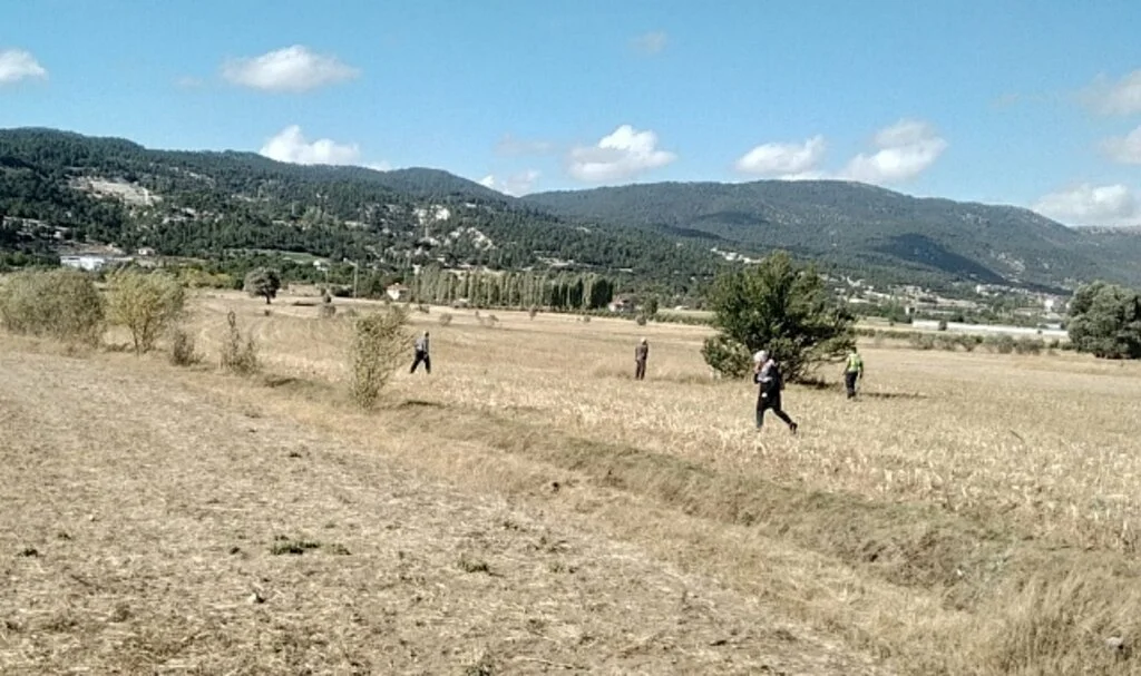 Tarlasını satılığa çıkaran yaşlı çiftçi ortadan kayboldu