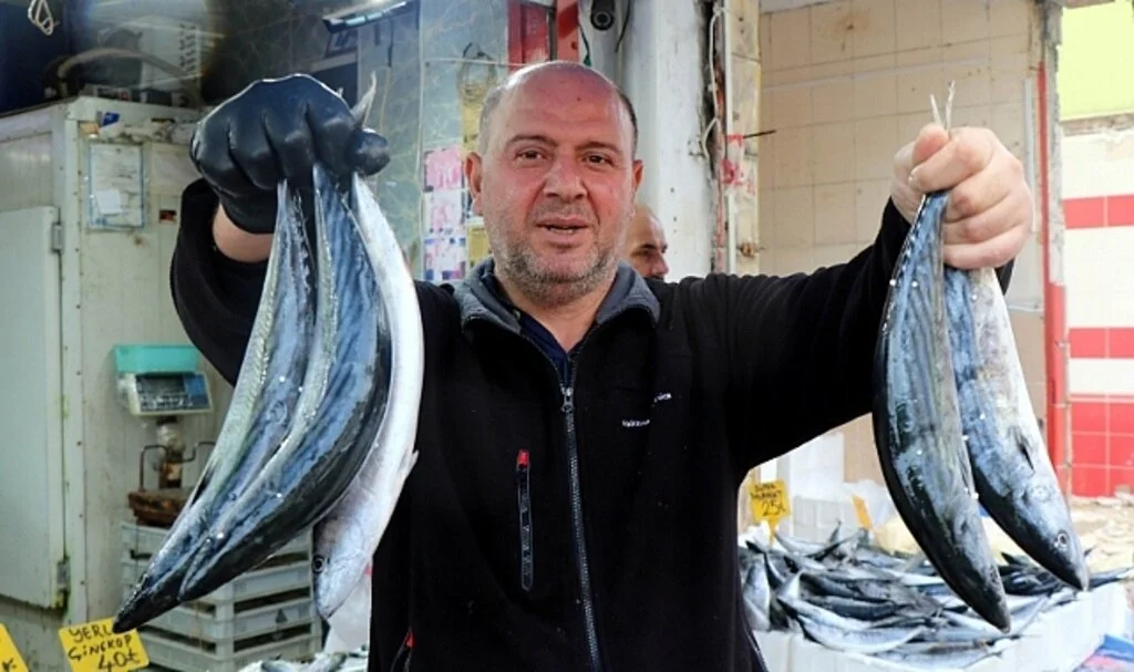 Karadeniz'de tezgahlar palamut  ve çinekopla doldu