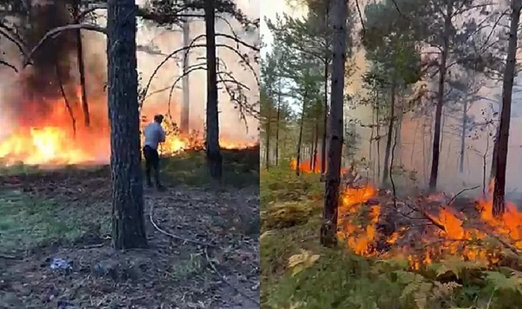 Tokat’ta aynı yerde ikinci kez orman yangını çıktı