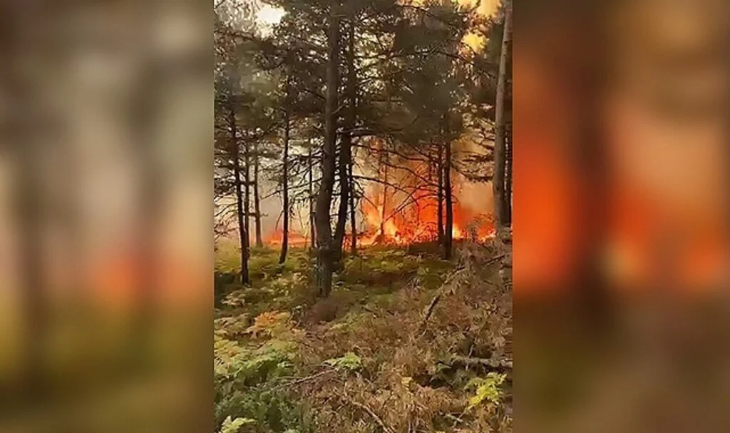 Tokat’ta korkutan orman yangını