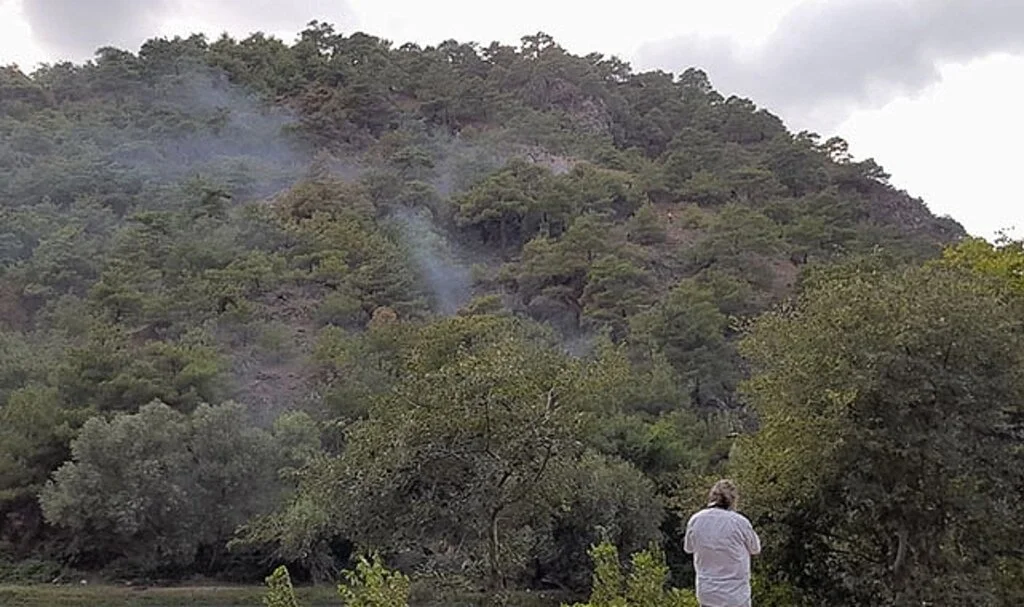 Tokat’ta ormanlık alanda yangın