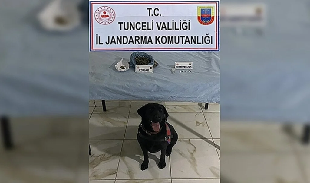 Tunceli’de uyuşturucudan 2 gözaltı