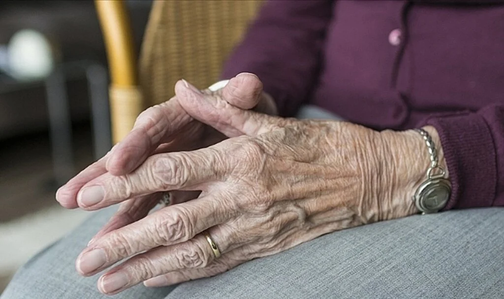 Türkiye'nin yüzde 10'luk mevcut yaşlı nüfusu oranı 2050'de yüzde 20'ye yükselecek