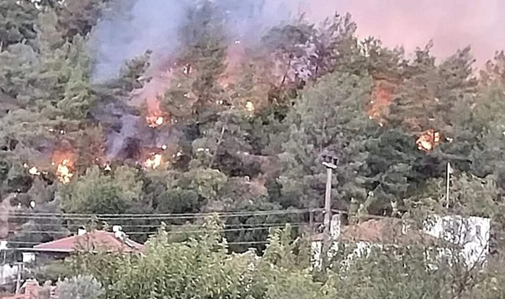 Ula’da orman yangını çıktı