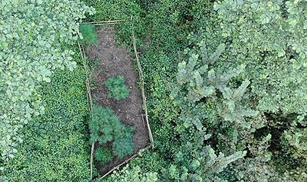 Uyuşturucular jandarma dronlarına yakalandı