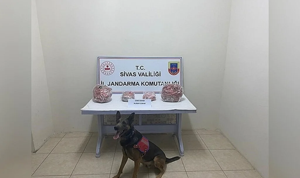 Valizinden 2 kilo 300 gram kubar esrar çıktı