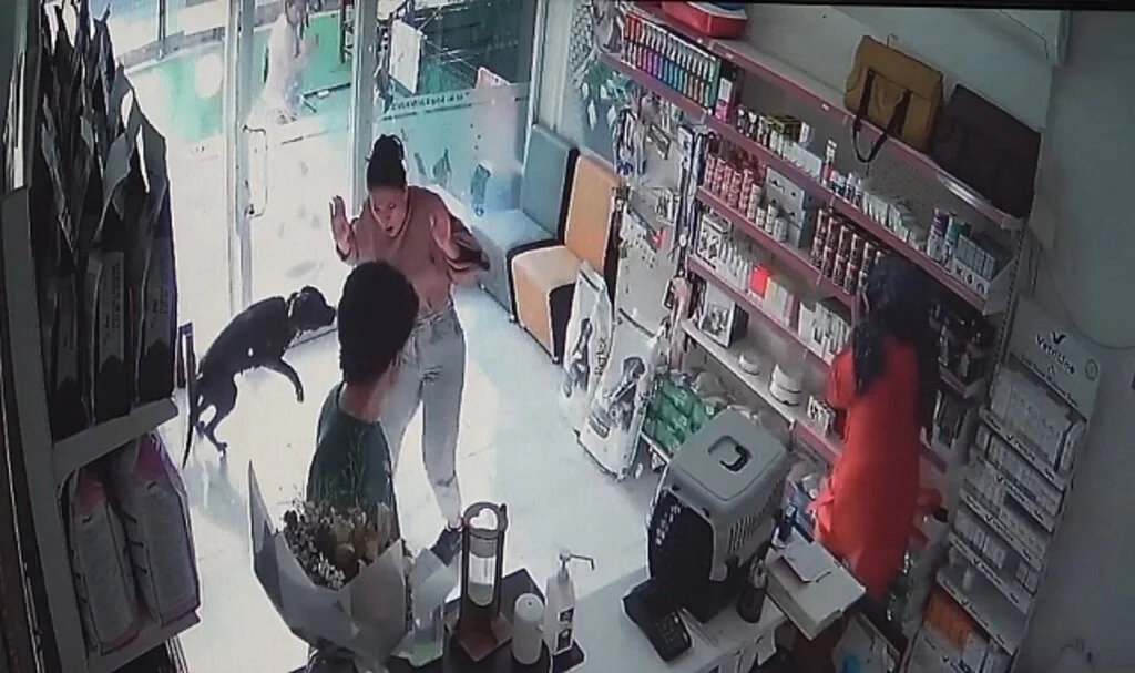 Veterinerdeki görevlilere kabusu yaşattı: Şişeli ve bıçaklı saldırgan ortalığı birbirine kattı