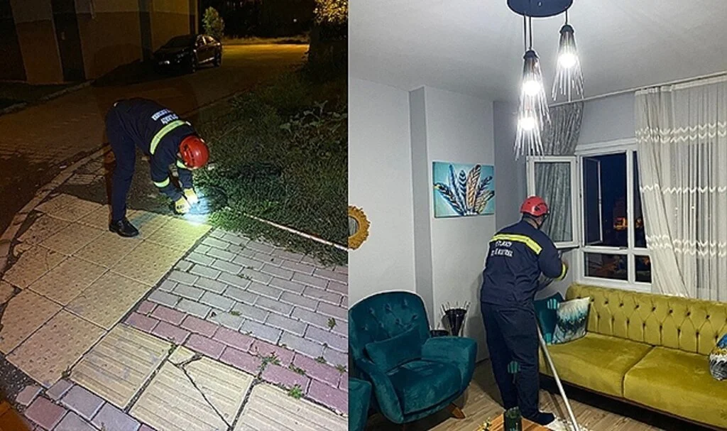 Yalova’da eve giren yarasayı itfaiye ekipleri çıkardı