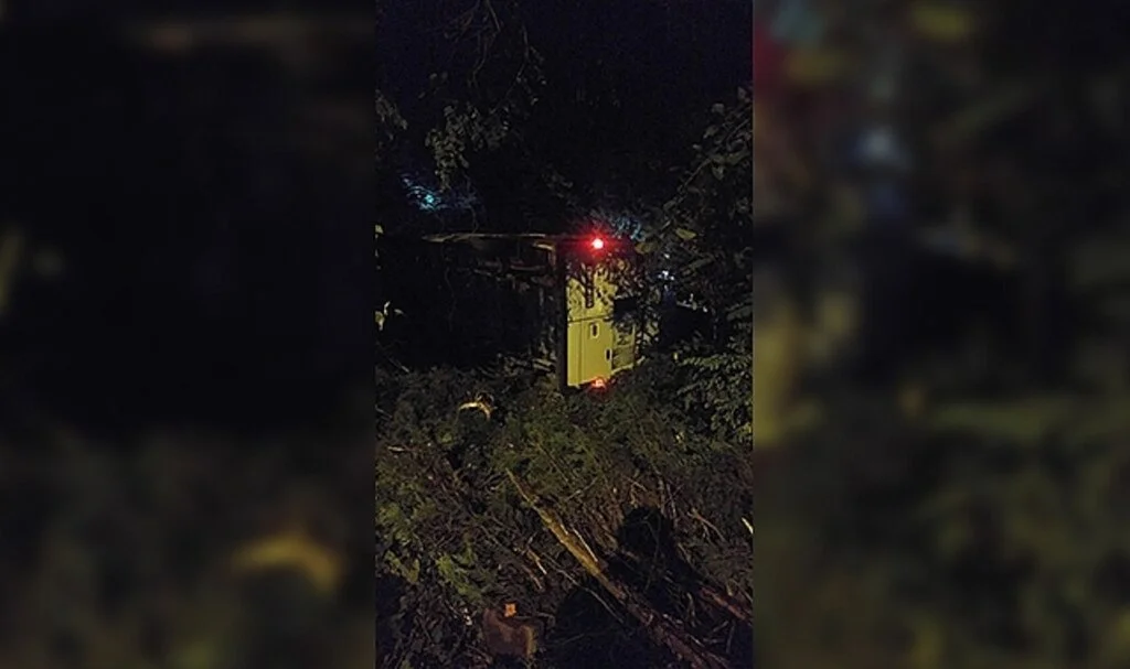 Yoldan çıkan minibüs ormanlık alana uçtu