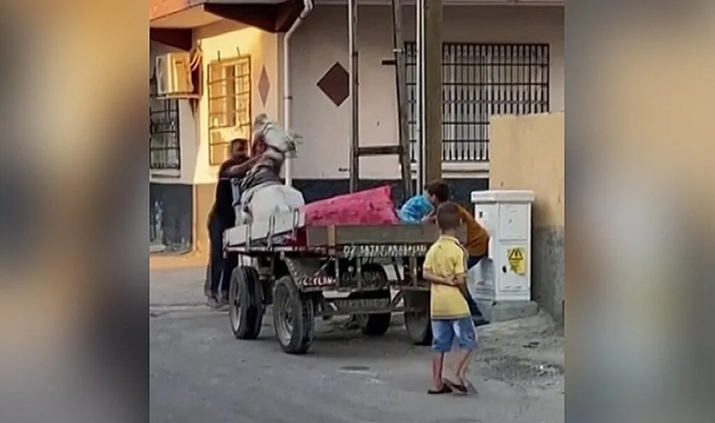 Yürümek istemeyen ata yumruk atarak eziyet etti