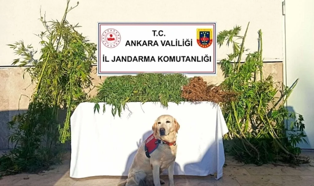 Ankara’da uyuşturucu operasyonları: 6 gözaltı