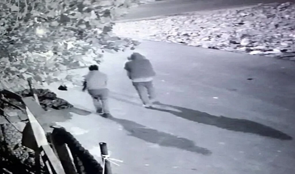 Arnavutköy’de lüks araçlı tavuk hırsızları kamerada