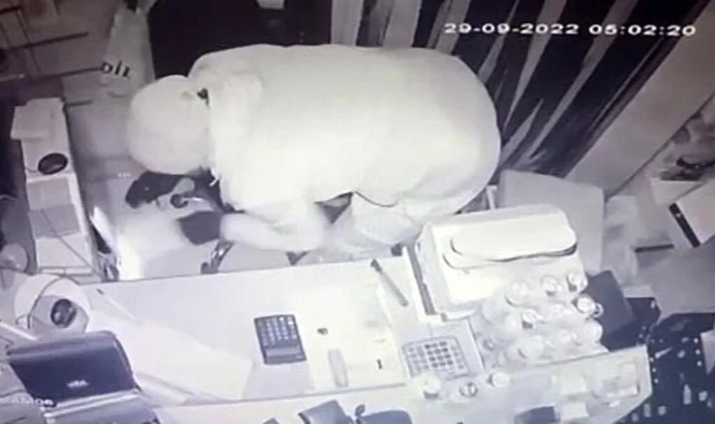 Avcılar’da ayakkabı mağazasında hırsızlık kamerada