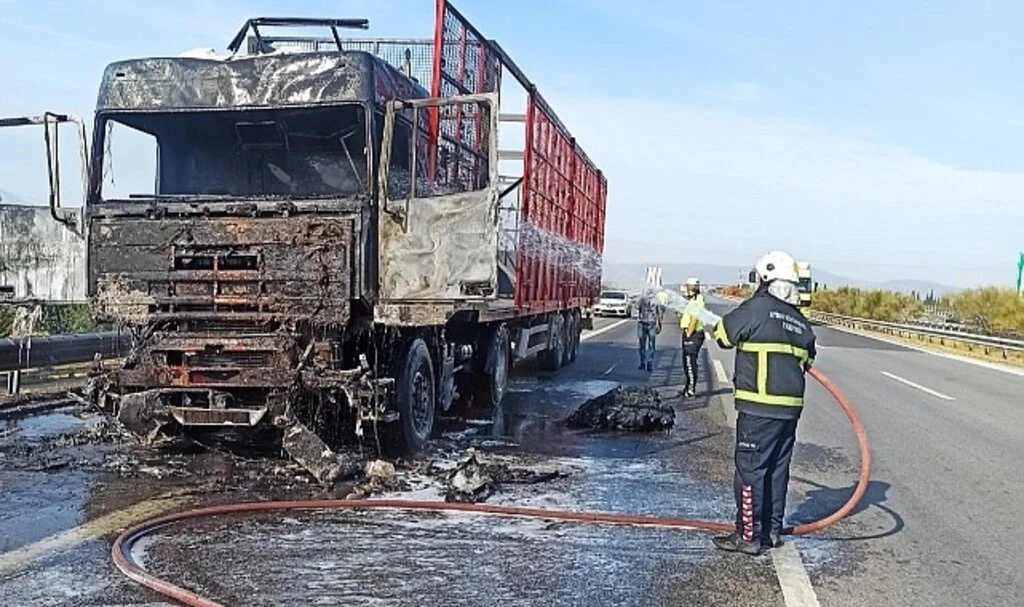 Aydın’da yanan tır alevlere teslim oldu