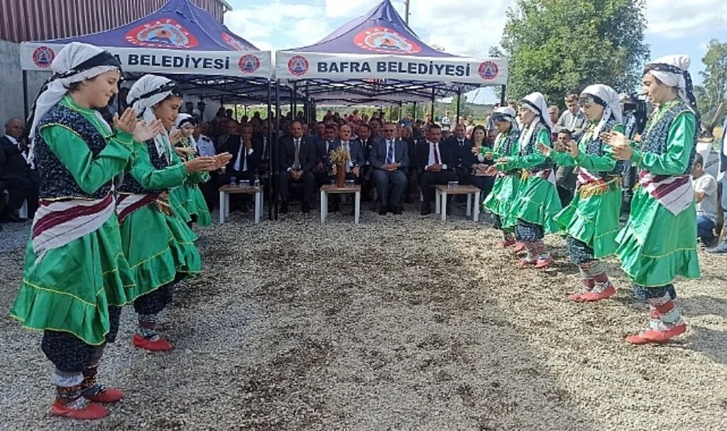 Bafra Ovası'nda “8. Çeltik Hasat Şenliği”