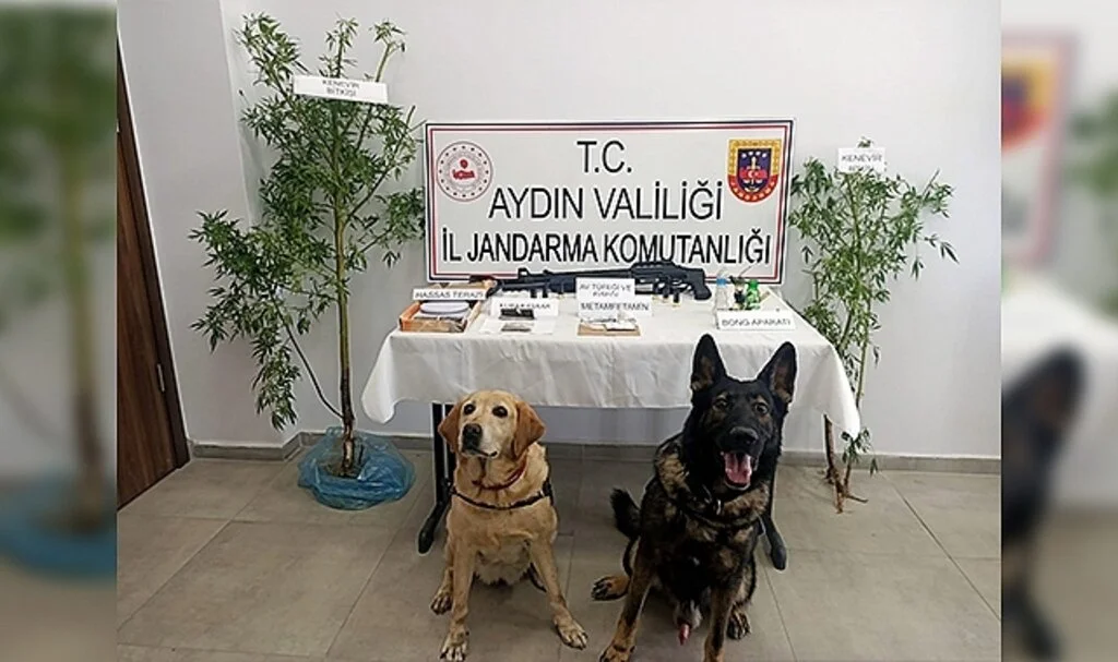 Bağ evine yapılan baskında 2 kişi yakalandı