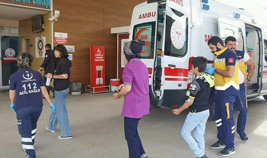 Bursa'da arı kolonisi öğrencilere saldırdı, eğitime 1 gün ara verildi