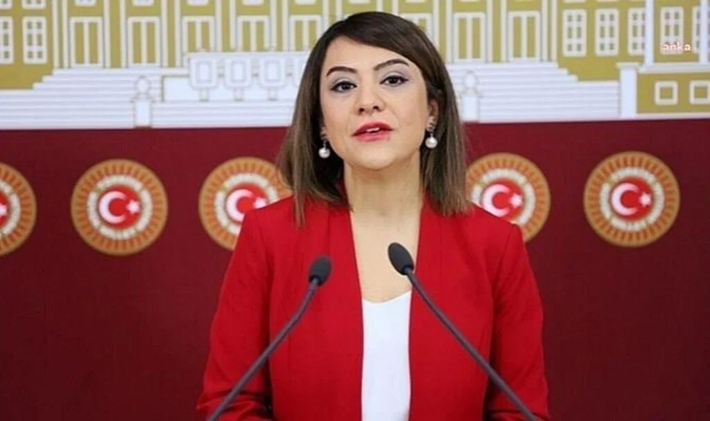 CHP Ankara Milletvekili Gamze Taşcıer:"Görmezden Gelinmeye Karşı Eczacıların Daha Fazla Sabredecek Takati Kalmadı"