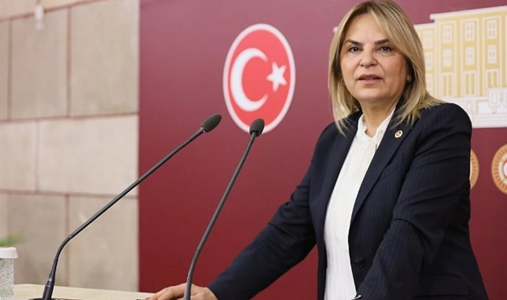 CHP Samsun Milletvekili Neslihan Hancıoğlu: Evinizde  yabancı olabilir!