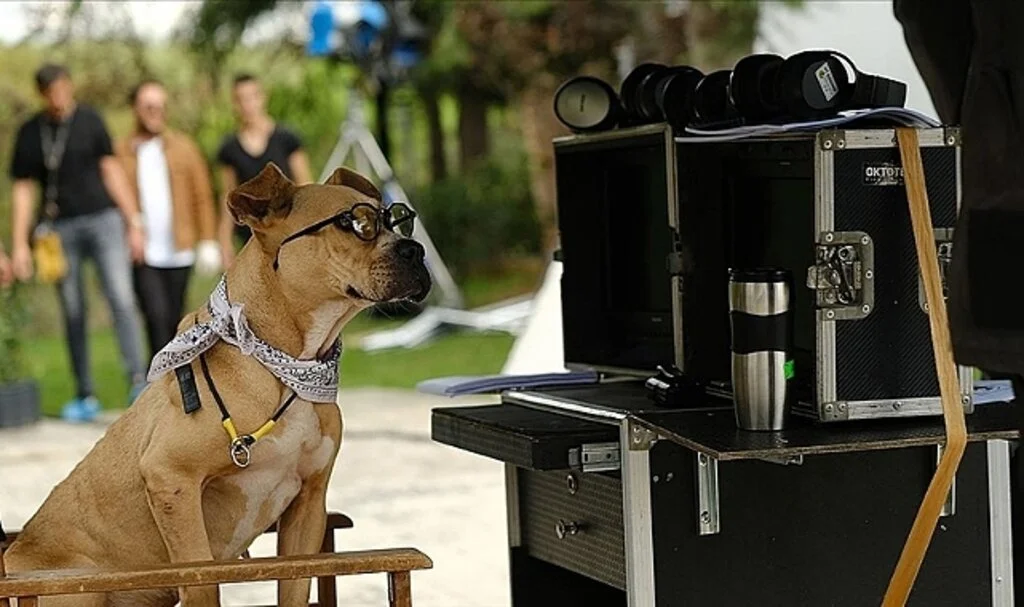 "Dikkat Köpek Var" filmi, hayvan haklarına dikkati çekecek