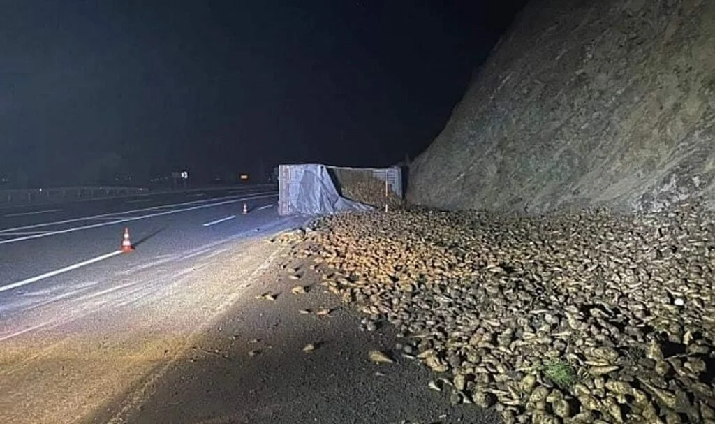 Elazığ’da şeker pancarı yüklü tır devrildi: 1 yaralı