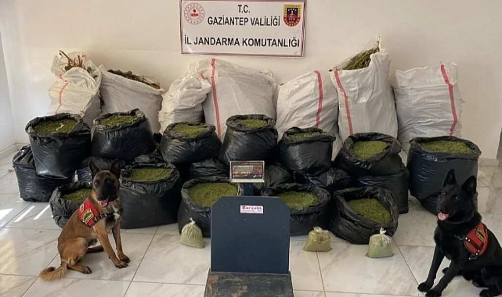 Gaziantep'te 235 kilo kubar esrar ele geçirildi