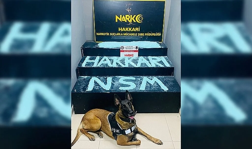Hakkari’de 5 kilo ecstasy maddesi ele geçirildi