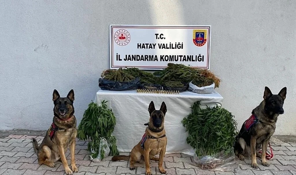 Hatay’da uyuşturucu operasyonunda 4 kişi gözaltına alındı
