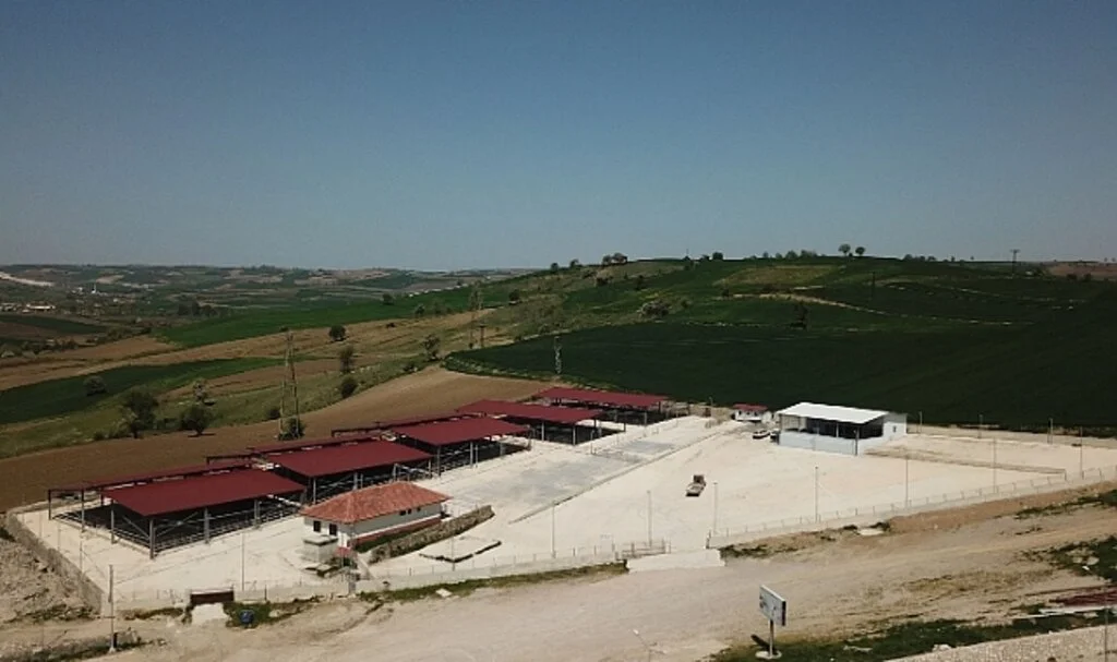 Havza’da canlı hayvan pazarı süresiz olarak kapatıldı