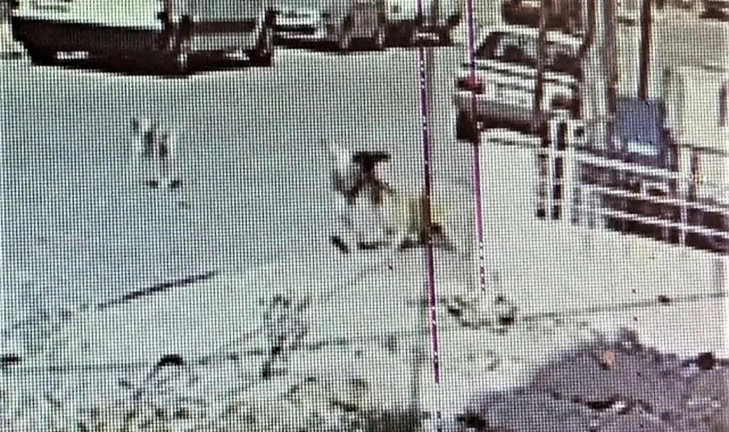 İki kardeş 3 gün arayla dehşeti yaşadı
