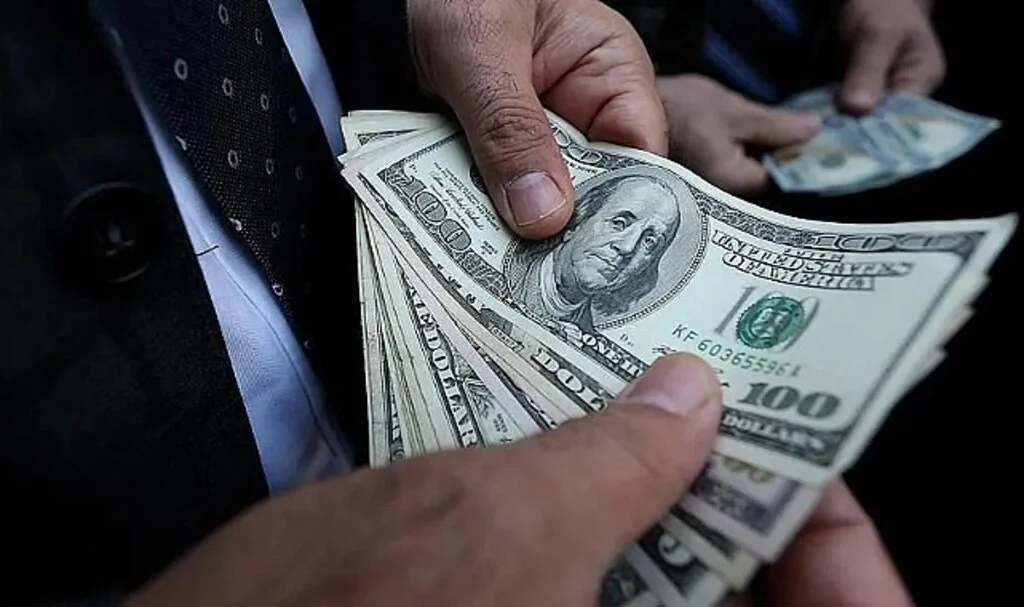 İşte 10 yılda dolara karşı değerlenen tek para birimi
